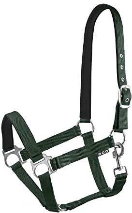 Start Halfter Pferd – Stallhalfter & Weidehalfter für Pony, Vollblut, Warmblut – verstellbar & neoprengefüttert – Lined Halfter für Pferde mit Komfort & Passgenauigkeit (Dunkelgrün, Pony)