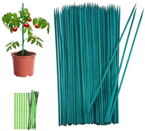 Lot de 50 tuteurs pour plantes grimpantes de 30 cm avec 50 liens métalliques - Bâtons en bambou pour la maison, le jardin, les plantes grimpantes