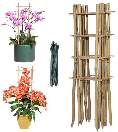 Bambooo Fan Pot Ladder Trellis | Climbing Plant Trainer | Bambooo Cane Plant Pot Fan Trellis | Frame Stake Stick Pole | Garden Planter Climbing Plant Support For Climbing Plants