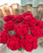 YOFANUP Crochet Flowers, DIY Crochet Flower Bouquet, Finished Handmade Flower, Artificial Flowers, Knitted Red Roses for Mothers Day, Valentines Day (4, Red)