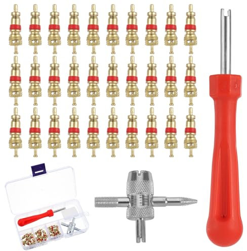 Chutoral Tyre Valve Repair Kit, 34 PCS Valve Core Remover Tool Kit, Tyre Valve Core Remover, with Valve Stem Cores, Valve Core Removal, Valve Tool for Bicycle Auto Car