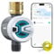 RAINPOINT Centralina Irrigazione con Ingresso in Ottone, Bluetooth Computer Irrigazione Automatica con 2 Modalità di Irrigazione, Smart APP Telecomando Timer Irrigazione per Prato Giardino