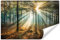 Wallepic Fototapete Wald 3D Effekt 240 x 360 cm Vlies Wand Tapete Bäume Natur Landschaft Panorama Vliestapete Wohnzimmer Schlafzimmer Bäume Natur Moderne Wandbild