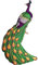 alles-meine.de GmbH Bügelbild - großer XXL - Vogel Pfau - 16,5 cm * 9,5 cm - Aufnäher/Applikation/Aufbügler - gewebt - Bügelflicken/Hosenflicken - Bügelsticker - Kinder Erw..