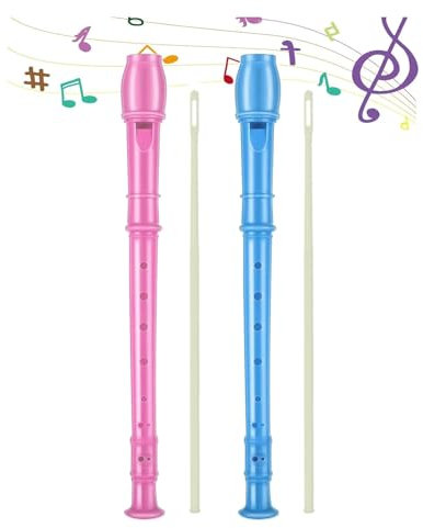 MaNeaz 2 Pièces Bleu + Rose Instrument De Musique Enfant Flute Enfant Flûte À Bec Enfants Flûte À Bec Scolaire Soprano Plastique Amovible Pour Enfants Débutants Adultes Avec Tige De Nettoyage