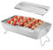 Pumixiy Parrilla de barbacoa plegable portátil de acero inoxidable estufa de carbón de leña parrilla compacta para acampar al aire libre fiesta en la playa patio trasero cocinar 38 x 18,5 x 14 cm
