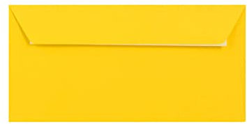 Briefumschläge DL (110 x 220 mm) für Grußkarten, Partys, Einladungen und Bastelarbeiten, Gelb, 15 Stück