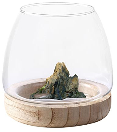 Woteg Terrarium en verre, vase transparent avec base en bois