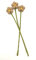 your castle Filzblumen handgemachte Dekoblumen für individuelle Kreationen, nachhaltiges Geschenk, fairer Handel, realistische Kunstblumen, 3 Stück mit Blüten in Beige