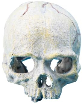 Totenkopf-Figur aus Kunstharz, Reptilien, Verstecke, Höhlen, Aquarien, Terrarien, Zubehör für Bartagamen, Schlangen, Aquarium, Totenkopf-Ornament
