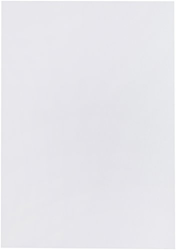 Renz 207009014 Deckblätter matt 0,7 mm Stärke, DIN A4, transparent