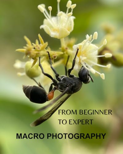 Macro photography for beginners: A Beginner's Guide to Capturing the Small Wonders of the World