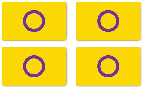 Aufkleber: 150x90 mm, 4 Stück - Flagge - Intersex Pride - LGBTQ - für Auto, Laptop und mehr