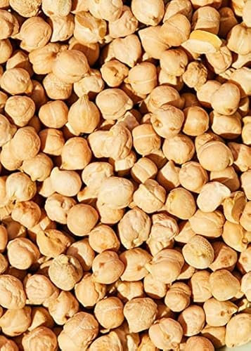 Kichererbsen getrocknet Sack mit 1x 25kg Hülsenfrüchte für Humus Hummus Chickpeas
