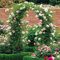 ARtsim 200cm 160cm 120cm 180cm breit Rosenbögen Metall Rankbogen Gartenbogen Rankhilfe Torbogen Rankgitter für Kletterpflanzen Verzinkt Rosenspalier (Color : Schwarz, Size : 180cm x 220cm)