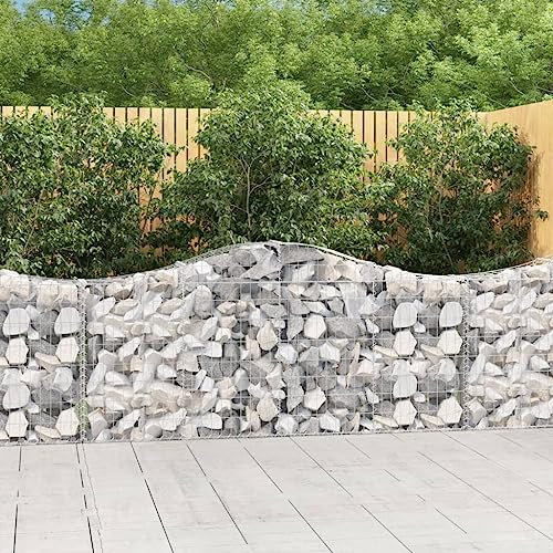 Willood Gabione mit Hochbogen 200x30x80/100 cm Verzinktes Eisen 3017642