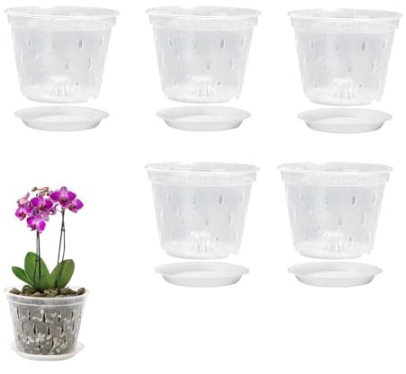 shpuuyy Vasi trasparenti per piante – vasi per piante da interno ed esterno con foro di drenaggio, decorazione per la casa per fiori, orchidee, viole del pensiero, cactus, piante grasse