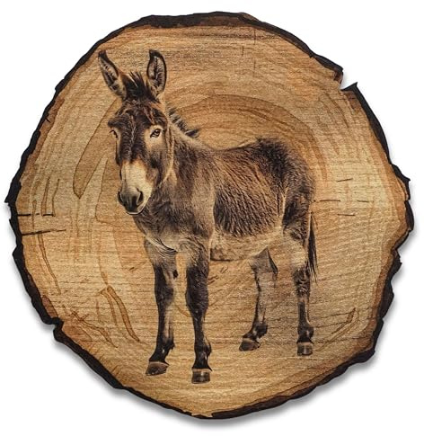 DRO Design Esel - Größe 20cm - Rustikales Wandbild im Vintage Look – Holzoptik Wanddeko mit Motiv für Wohnzimmer und Flur – Geschenkidee für Tierliebhaber, Wandgemälde