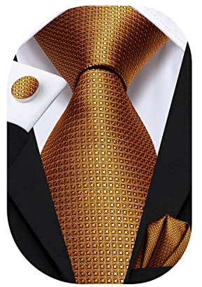 Dubulle Mens Tie Set Paisley Floral Checks Neckties for Men Silk Pocket Square Cufflinks Suit Wedding,Gold Bronze