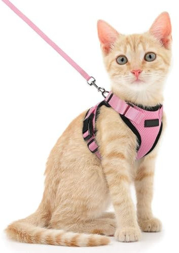 Voarge Katzengeschirr, verstellbar, mit 150 cm Leine, Sicherheits-Katzengeschirr für kleine mittelgroße große Erwachsene Katzen, Welpen, Katzengeschirr für Spaziergänge, Reisen (Rosa, XS)