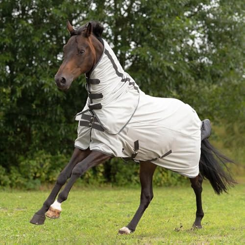 BUSSE Outdoor-Fliegendecke Sunshine II, Silber (anthrazit), Rückenlänge 115 cm