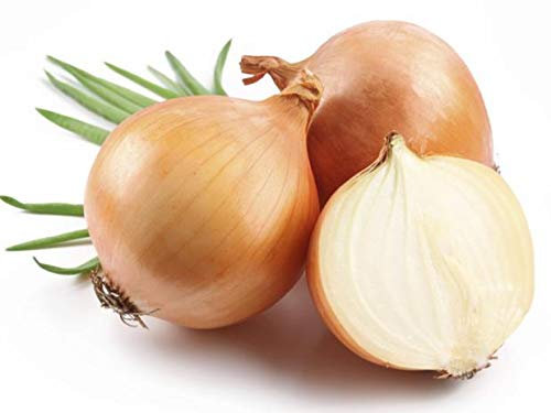 250 Semillas de Cebolla Amarilla Paja - Verduras aromáticas - Semillas campesinas reproducibles - SemiSauvage