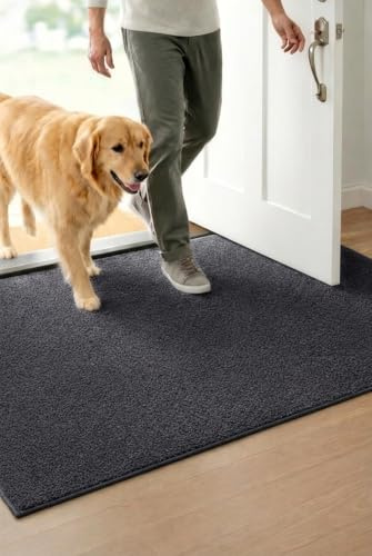 WELLTURN 40×60cm Tappeto Ingresso Interno Antiscivolo e Super Assorbente – Paillasson Lavabile in Morbida Microfibra con Base in Gomma, per Cucina, Bagno, Corridoio, Casa e Animali – Grigio
