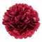 JZK 10 x Rot Pompoms Pompons, 25cm Durchmesser, Seidenpapier blume Dekoration für Wohnzimmer Hochzeit Geburtstag Babyparty Kinder Party Weihnachten Silvester