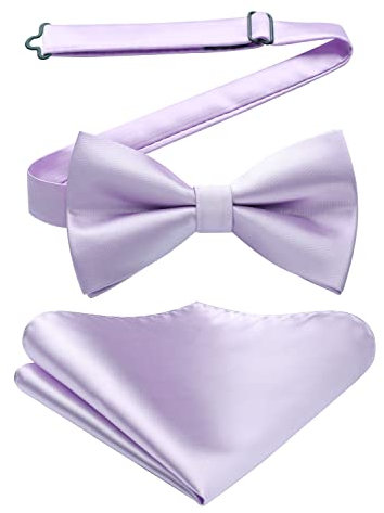 HISDERN Noeud Papillon pour Homme de Pochette Reglable Soie Nœuds Papillon Mauve pour Mariage Fete