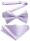 HISDERN Noeud Papillon pour Homme de Pochette Reglable Soie Nœuds Papillon Mauve pour Mariage Fete