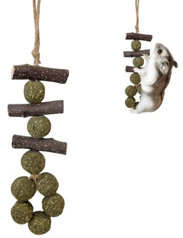 Meerschweinchen-Kauspielzeug, gesunder -Beiß, lustiges Haustierzubehör, Hamsterspielzeug, Meerschweinchen, Chinchillas, Igel, glückliches Kauen, entdecken Sie unsere Kollektion