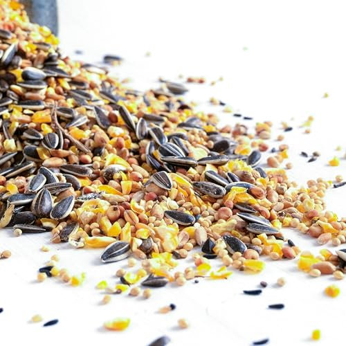 BusyBeaks Vogelfutter-Mischung - Weizen, Mais, Sorghum, Sonnenblumenkerne & Hirse - Nahrhaftes Futter für ganzjährige Vogelernährung