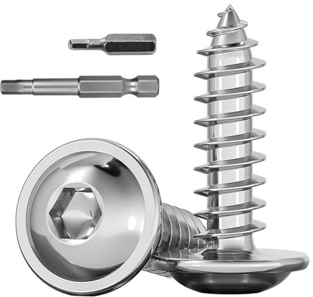 Dayalo 100 Stück Holzschrauben M3 x 10 mm, Edelstahl A2, Innensechskant | Linsenkopf mit integriertem Flansch, V2A, silber; 2 Bits (25/50 mm), für Möbelbau, Regale und Holzverbindungen