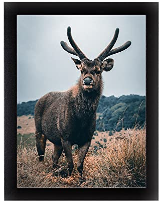 Rahmendesign24 Posterrahmen Milano 60x80 Schwarz (hochglanz) Fotorahmen, Wechselrahmen, Bilderrahmen, Puzzlerahmen