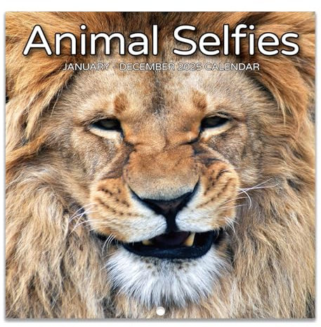 Calendar 2025 Animal Selfies - Funny Wall Calendar Month to View from January 2025 to December 2025, 12 x 12(Closed), 12 Different Animal Selfies, 2025 Calendar UK as a Gift