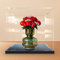 Boîte de présentation en acrylique pour roses Lego 10328 - Boîte de présentation transparente anti-poussière - Compatible avec kit de construction Lego 10328 (modèle non inclus) (base noire)