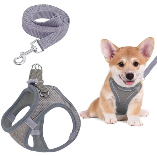 YIZWINS Hundegeschirr Kleine Hunde, Hundegeschirr Welpen mit Leine, Brustgeschirr Hund Klein, Brustgeschirr Hund Mittel, Hundegeschirr Xs für Kleine Hunde, Haustiere, Katzen, Welpen, Grau