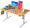 Agilestic Höhenverstellbarer Schreibtisch 140 x 80 cm, Stabiler Schreibtisch Höhenverstellbar Elektrisch mit Memory-Handsteuerung, Ergonomischer Steh-Sitz Tisch Computertisch, Hellbraun
