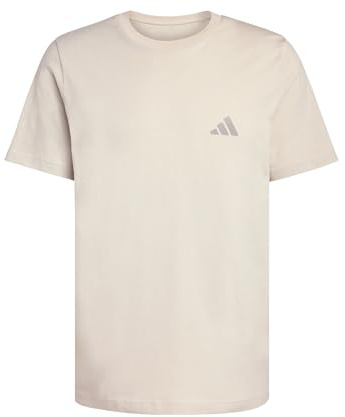 adidas Herren Terrex Mountain Graphic Shirt, Wonder Alumina, XXL