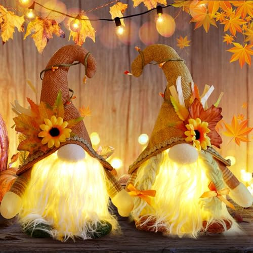 Wichtel Figuren Herbstdeko 2 Stück,Herbstdeko Wichtel,Wichtel mit Licht,Herbst Wichtel Plüsch,Wichtel Figuren Plüsch für Erntedankfest Weihnachten(Batteriebetrieben, Nicht im Lieferumfang Enthalten)