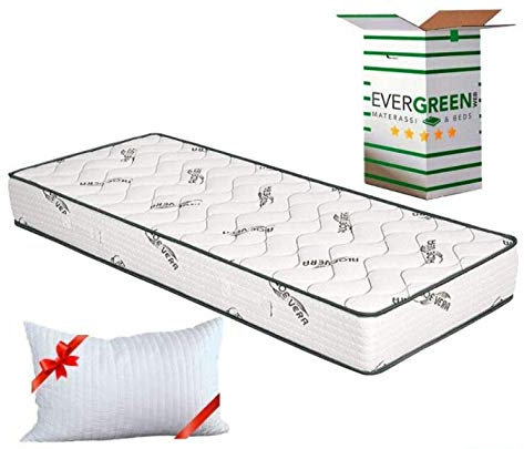EVERGREENWEB Orthopädische Matratze 90x200 Höhe 20 cm + Visco Kissen GRATIS Kaltschaummatratze mit Aloe Vera Massageeffekt Atmungsaktiv Milbendicht Bezug für Lattenrost oder Bett