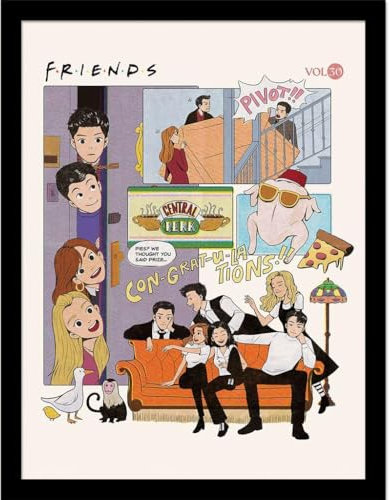 Friends Impresión coleccionista 30 años (cómic)