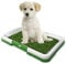 WELPEN Gras HUNDEKLO Matte, Kunstrasen saugfähige Matten im, Hundeklo Hundetoilette Welpentoilette auslaufsicherg, Hunde-Fixpunkttraining, Design mit Schnell Trocknender Oberfläche.