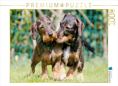 CALVENDO Puzzle Dackelfreundschaft | 1000 Teile Lege-Größe 64 x 48 cm Foto-Puzzle für glückliche Stunden