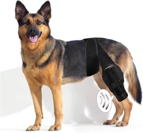 Spring.Rd Hunde-Kniebandage zur Unterstützung bei Kreuzbandverletzungen, Gelenkschmerzen und Muskelkater, bessere Erholung mit Hunde-Kniebandage, verstellbare Hinterbeinbandagen für Hunde