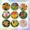 8 pcs Flammenlilien - Zwiebeln, Flammenlilie, frühlingsblumen, winterharte pflanzen für garten flame lily bulbs - Gloriosa superba - blumenzwiebeln mehrjährig winterhart
