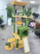 YITAHOME 153 cm Árbol Alto para Gatos con Forma de Cactus con Cepillo para El Cuidado Personal, Torre para Gatos con Condominio para Gatos, Percha Superior, Postes y Tablero para Rascar de Sisal