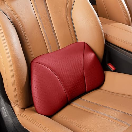 POKSRI Echtes Rindsleder Kissen lordosenstütze Auto,Memory Foam Kissen,lendenkissen,Echtes Leder Rückenlehne,deko,blackroll,Outdoor,Kissen,Sofa(Wein,1p)
