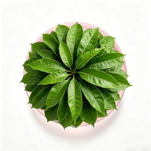 Klare Avocado Baum Anbauvasen, Aufzucht-Glas für Avocados und Kastanien, Glas Avocado Baum Blumenvasen, Hydroponic Glasvase Fuer Blumen, für Deko Hochzeit Tisch Wohnzimmer Couchtisch(Rosa)