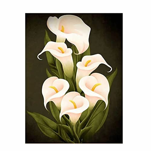 AIVYNA Leinwand Bild Wand Bilder Bild Weiße Blumen Calla Lilie Posterdruck Skandinavische Gemälde Wohnzimmer Schlafzimmer Dekoration Rahmenlos 60×80cm